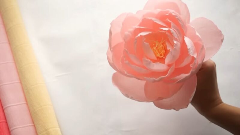 Pretty Peonies paper flowers